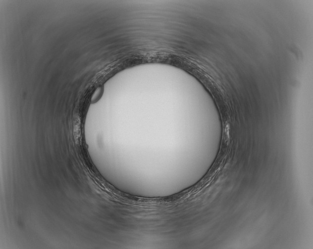 X0000112740963200908201031