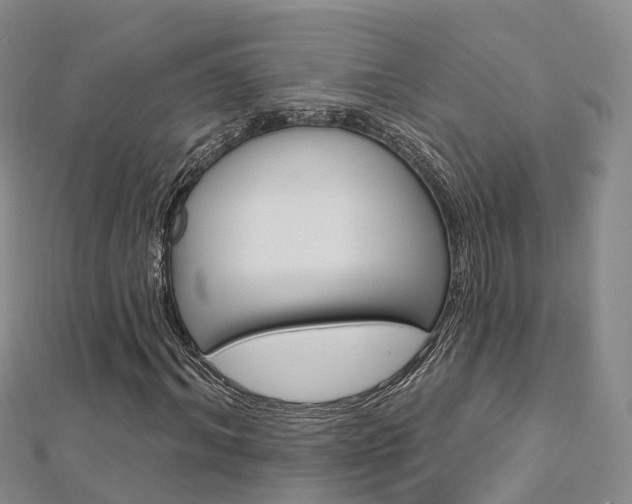 X0000112740964200908201031