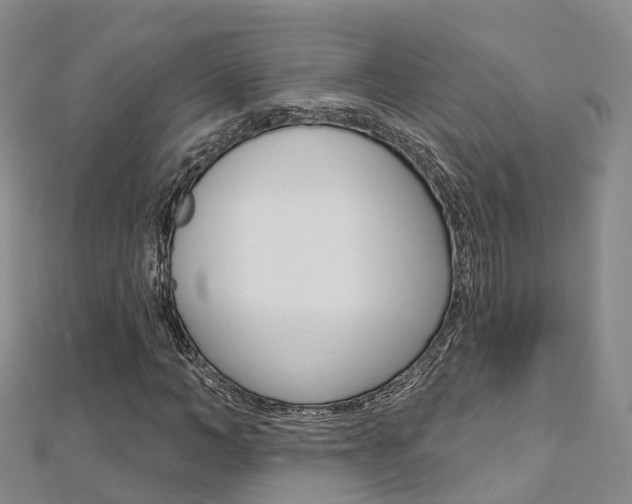 X0000112740966200908201031