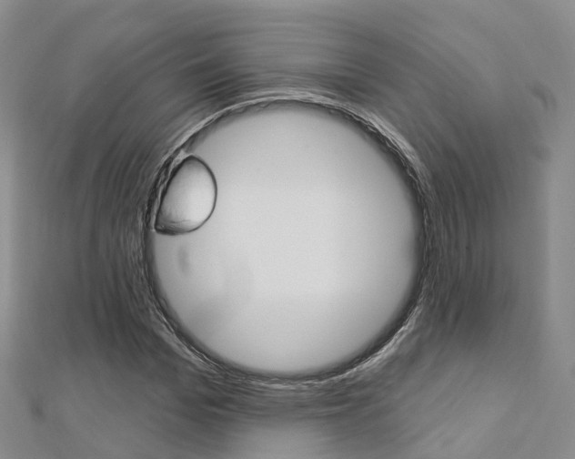X0000112740969200908201031