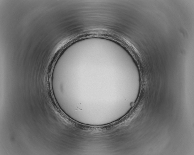 X0000112740970200908201031