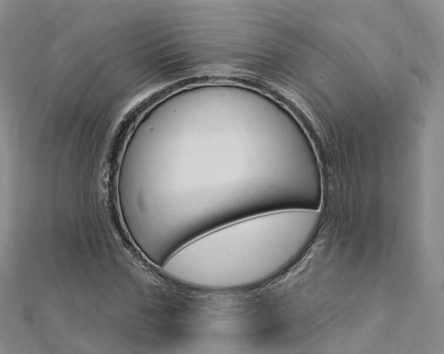 X0000112740971200908201031