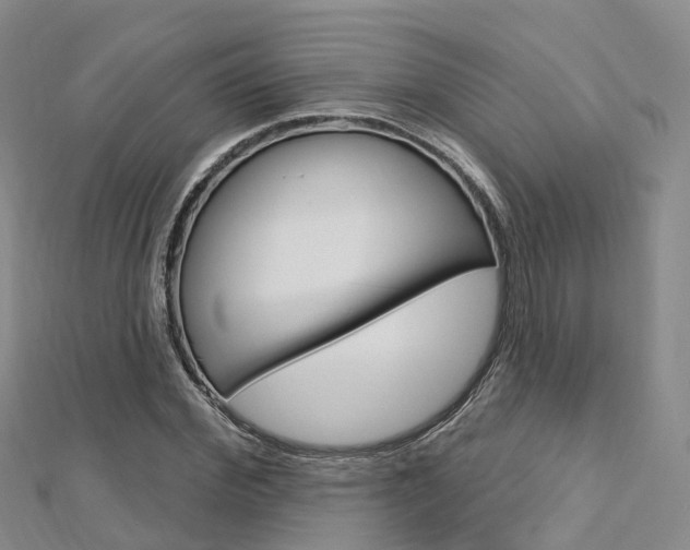 X0000112740972200908201031