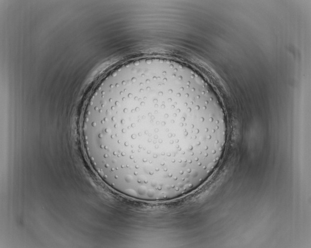 X0000112740978200908201031