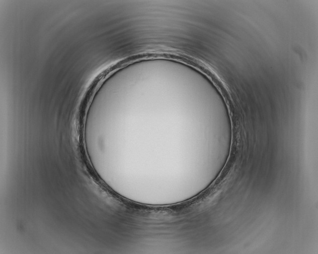 X0000112740979200908201031