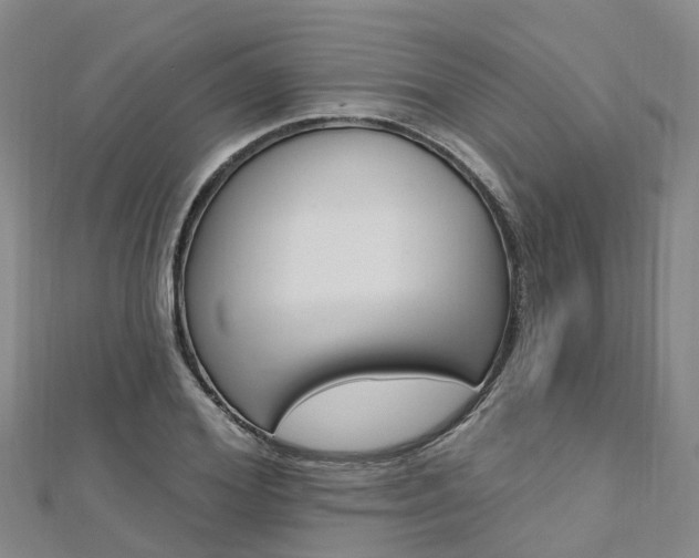 X0000112740980200908201031
