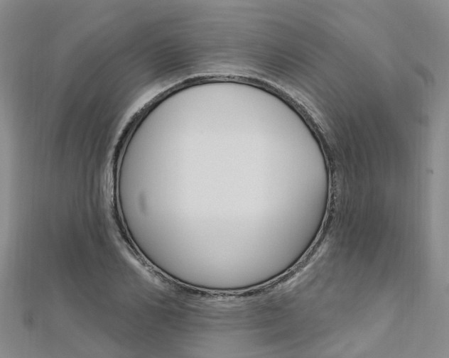 X0000112740982200908201031