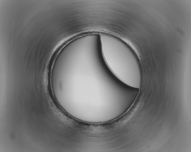 X0000112740983200908201031