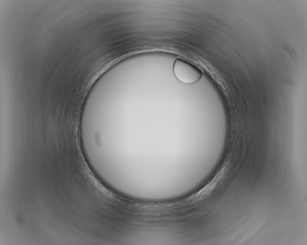 X0000112740985200908201031