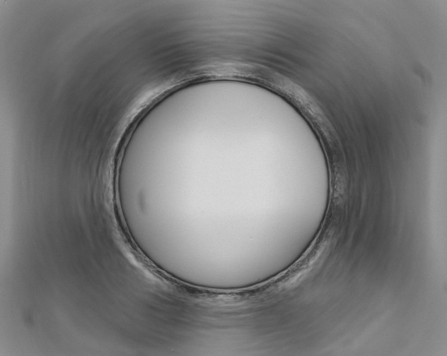 X0000112740986200908201031