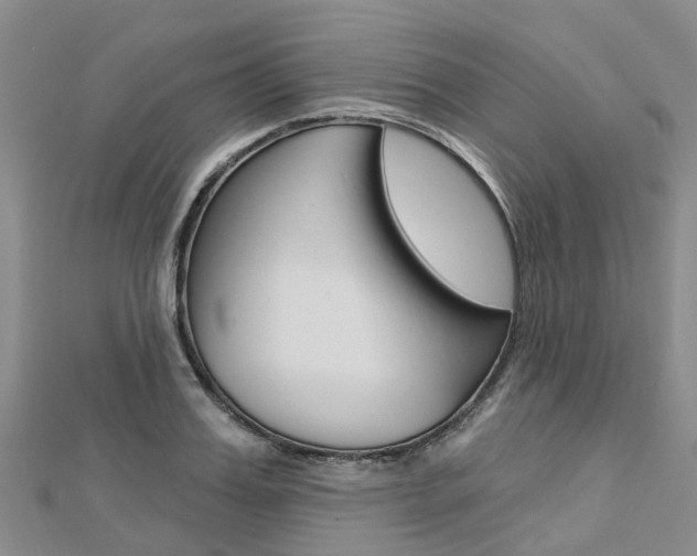 X0000112740987200908201031