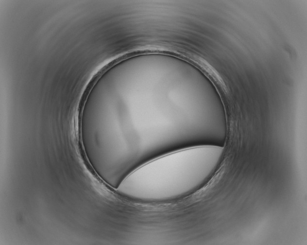 X0000112740988200908201031