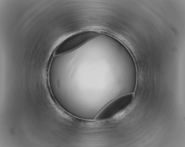 X0000112740989200908201031