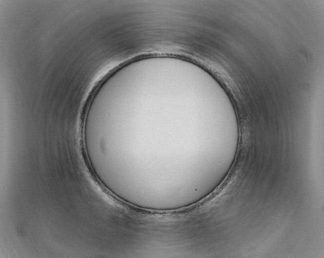 X0000112740990200908201031