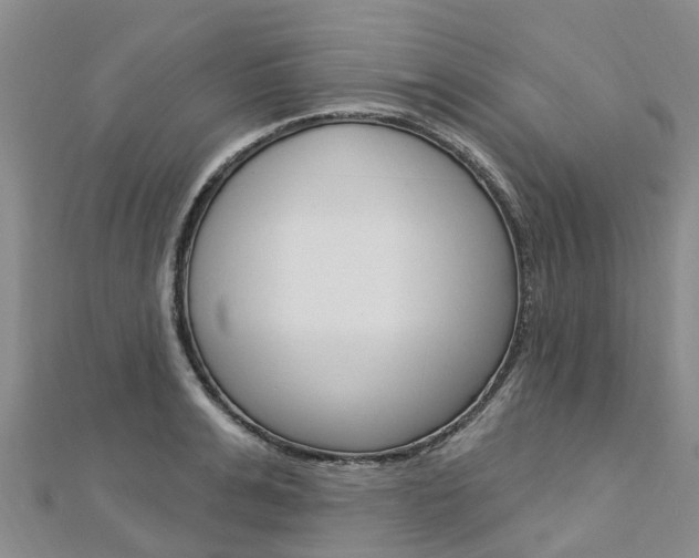 X0000112740991200908201031