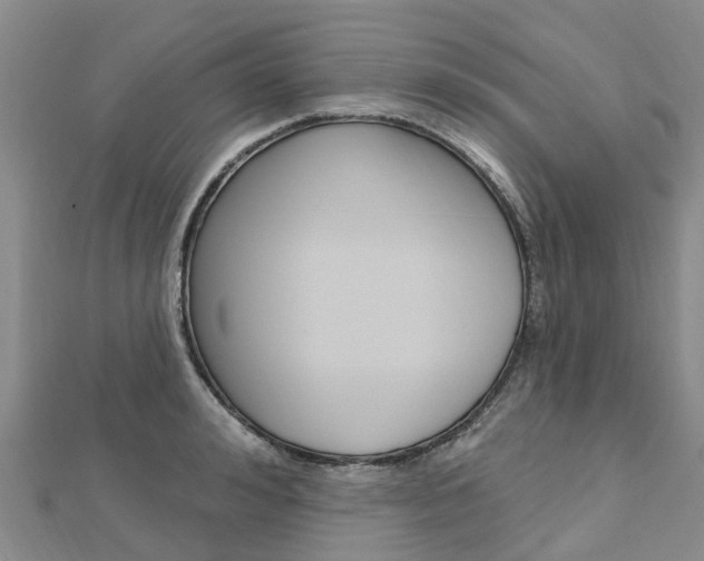X0000112740992200908201031