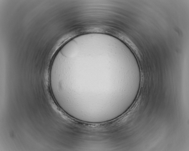 X0000112740994200908201031