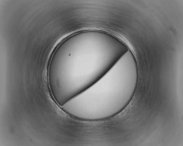 X0000112740996200908201031