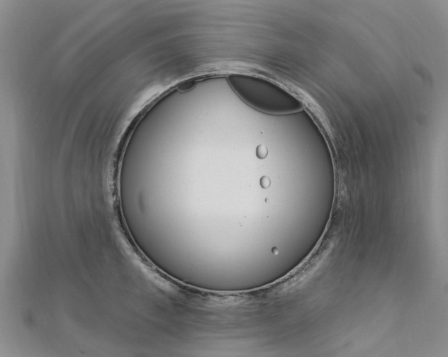 X0000112740997200908201031
