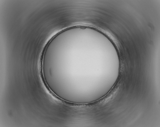 X0000112740999200908201031