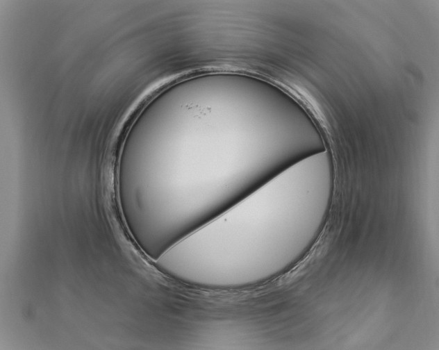 X0000112741000200908201031
