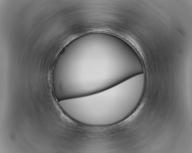 X0000112741001200908201031
