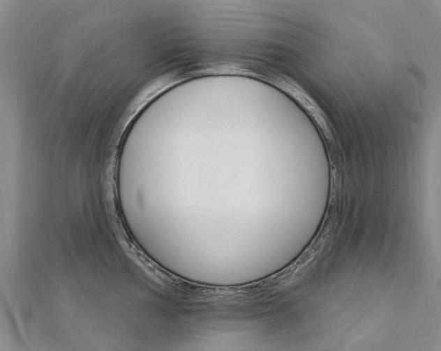X0000112741002200908201031