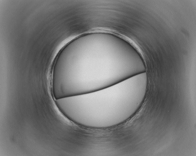 X0000112741003200908201031