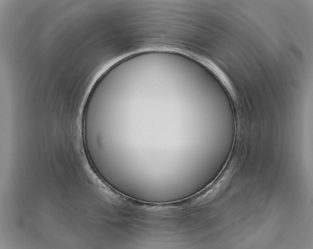 X0000112741004200908201031