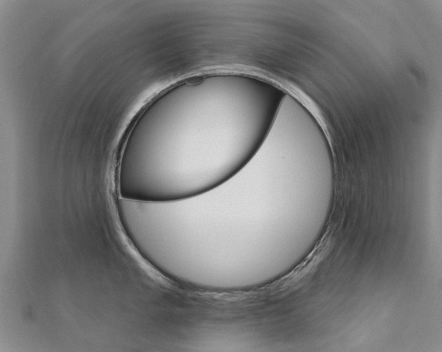 X0000112741005200908201031