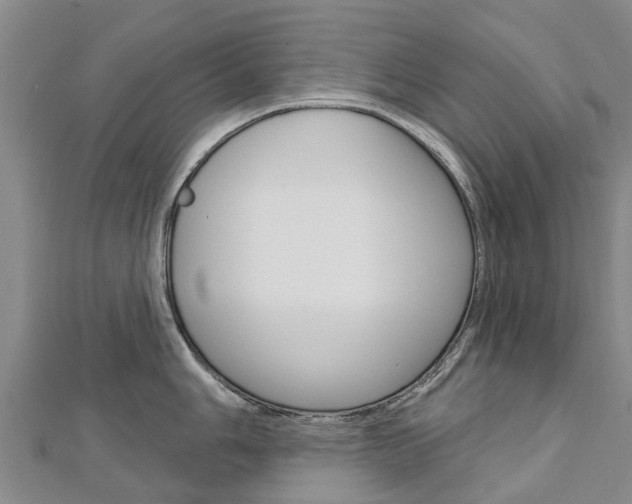 X0000112741006200908201031