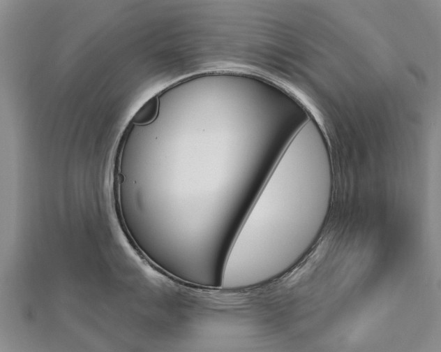 X0000112741007200908201031