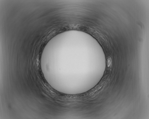 X0000112741011200908201030
