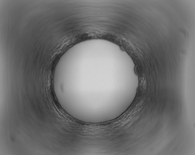 X0000112741012200908201030