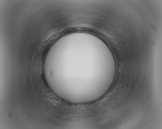X0000112741014200908201030