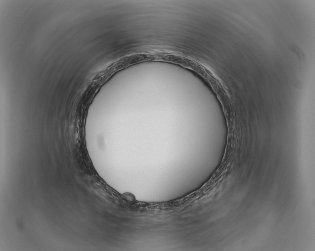 X0000112741016200908201030