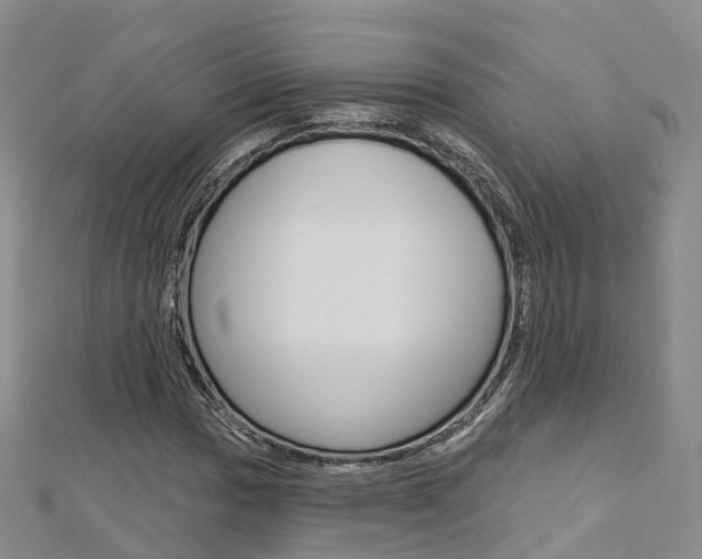 X0000112741017200908201030