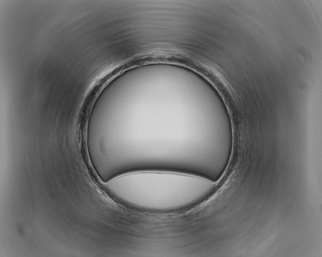 X0000112741018200908201030