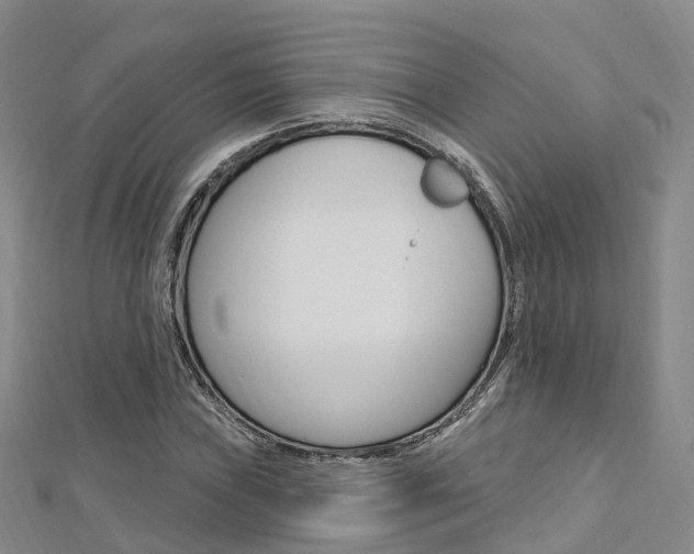 X0000112741019200908201030