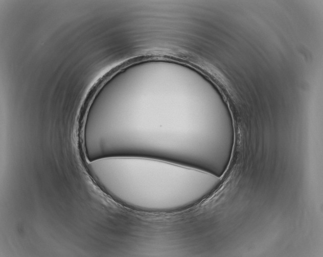 X0000112741020200908201030