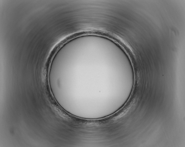 X0000112741021200908201030