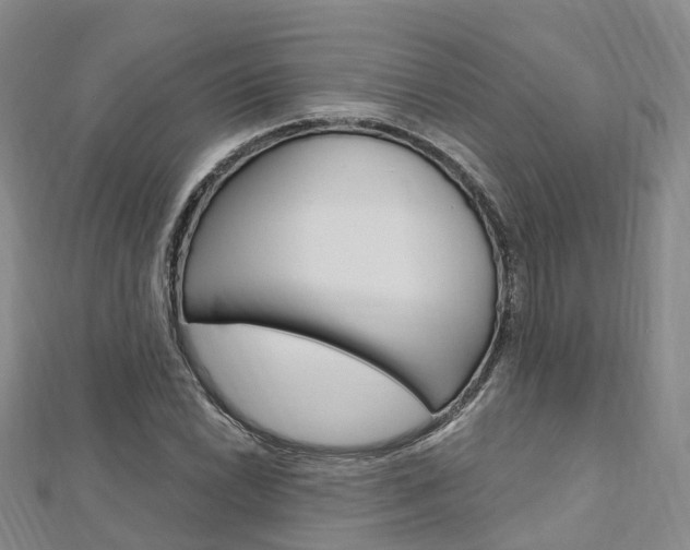 X0000112741022200908201030