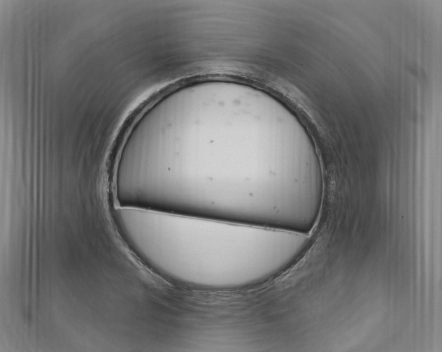 X0000112741024200908201030