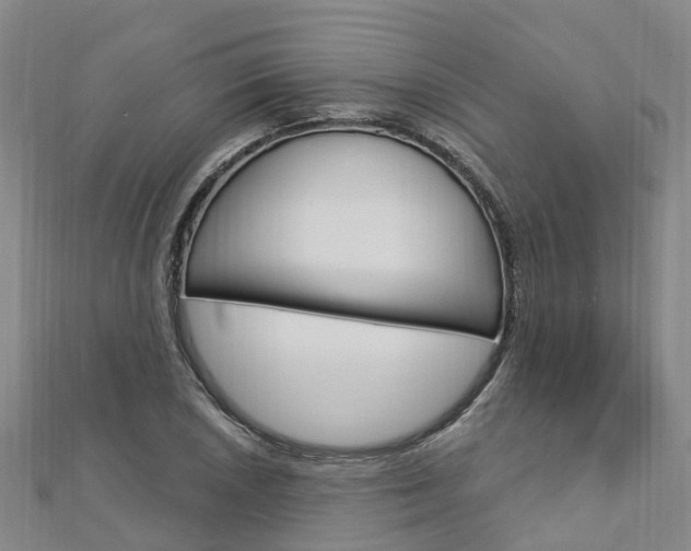 X0000112741026200908201030