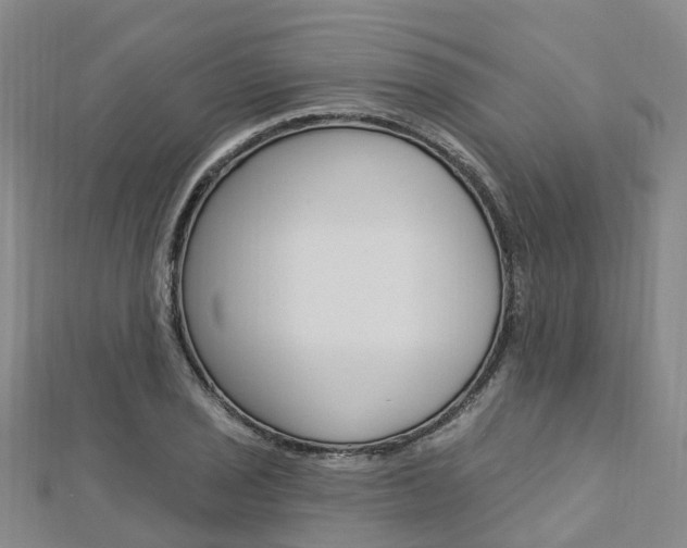 X0000112741029200908201030