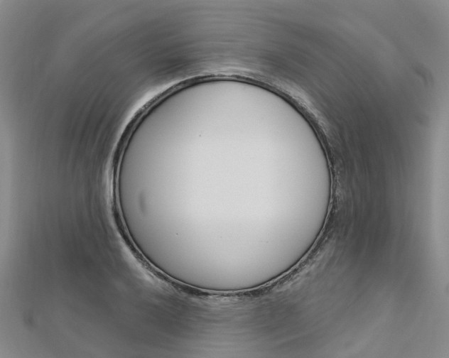 X0000112741032200908201030