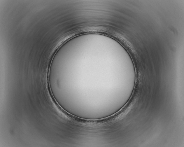 X0000112741033200908201030