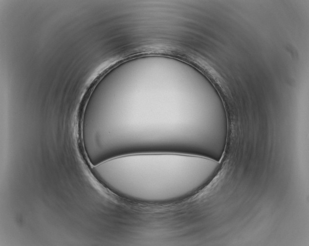 X0000112741034200908201030