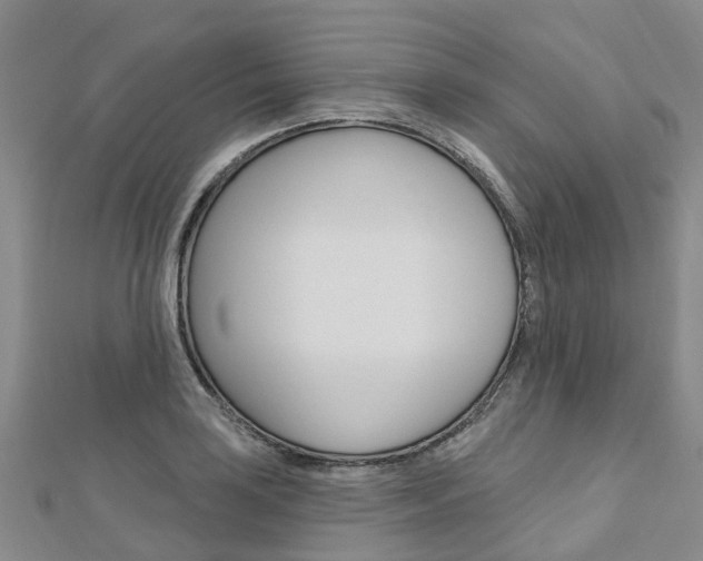 X0000112741035200908201030