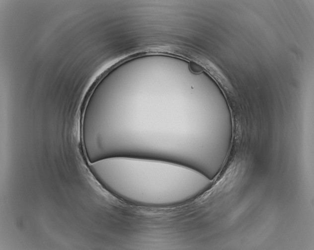 X0000112741036200908201030